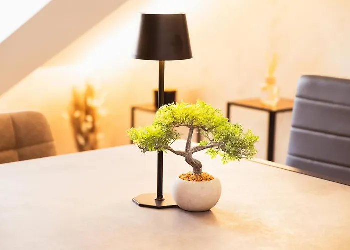 Piazza Vittorio Luxury View Apartment *